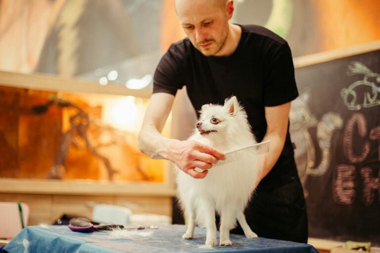 Groomer brushing a dog’s coat at Petitudo